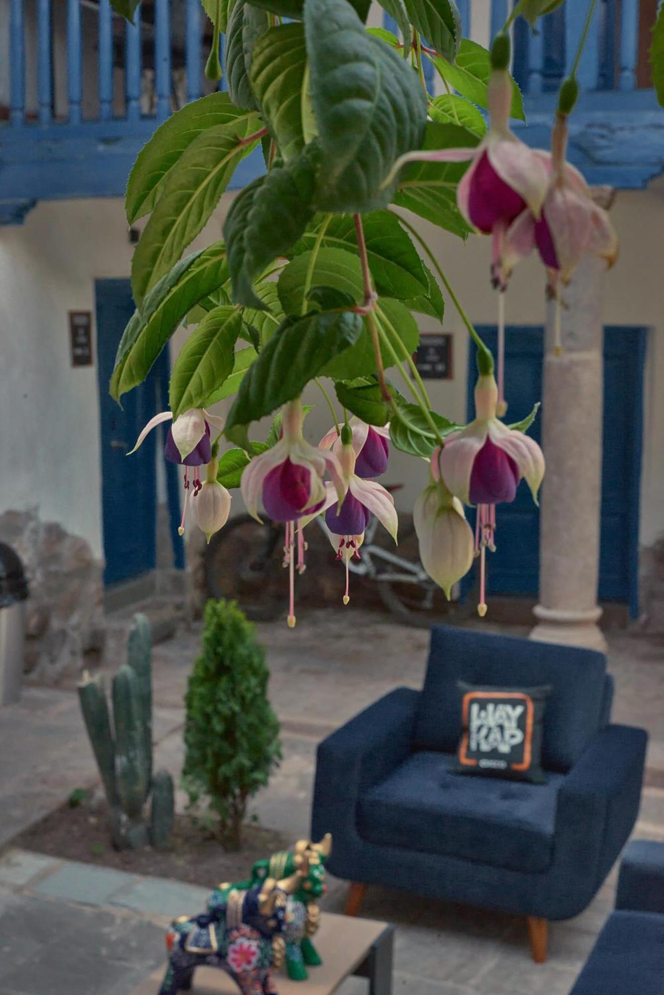 Way Kap Hostel Cuzco Buitenkant foto
